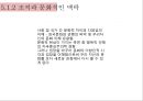 조직개발론,문화로서의 조직,문화와 조직,조직 실재의 창조,문화적 은유의 강점과 한계 11페이지