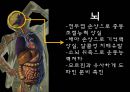 음주과 건강,술에 관한 오해와 진실,숙취에 좋은 음식 운동법,숙취해소음료,알코올 분해 과정 3페이지