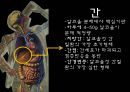 음주과 건강,술에 관한 오해와 진실,숙취에 좋은 음식 운동법,숙취해소음료,알코올 분해 과정 5페이지