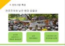 인도 및 힌두교문화 12페이지