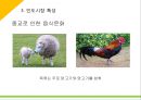 인도 및 힌두교문화 16페이지