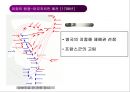나폴레옹 전쟁과 영향[ 외교.법학.사회제도.문화] 9페이지