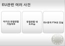 유럽연합의 대외인식과 한국관 10페이지