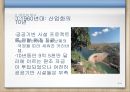 죽은 원조(Dead Aid) “죽음을 부르는 아프리카 원조를 중단하라!” 8페이지
