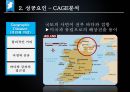 아일랜드의 성장과위기 13페이지