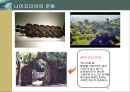 아프리카의 나라별 문화.경제.정치 사례분석 [토고.나이지리아.카메룬] 14페이지