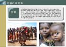 아프리카의 나라별 문화.경제.정치 사례분석 [토고.나이지리아.카메룬] 17페이지