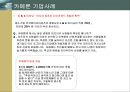 아프리카의 나라별 문화.경제.정치 사례분석 [토고.나이지리아.카메룬] 26페이지