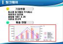 아이나비 네비게이션의 국내 점유율 1위 수성을 위한 마케팅전략 5페이지