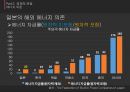 후쿠시마 원전 사고 이후 - [원전 재가동 찬반사유와 일본 원전 마피아] 11페이지