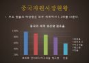 중국의 자원시장 4페이지