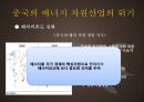 중국의 자원시장 9페이지