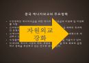 중국의 자원시장 10페이지