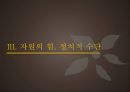중국의 자원시장 11페이지