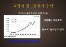 중국의 자원시장 13페이지
