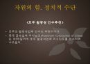 중국의 자원시장 16페이지