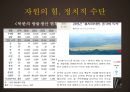 중국의 자원시장 17페이지