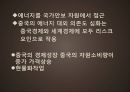 중국의 자원시장 19페이지