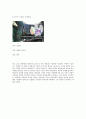 중국의 사대기서 [서유기, 삼국지, 금병매, 수호전] 31페이지