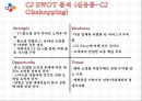 기업의 다각화 전략 -CJ그룹- 18페이지