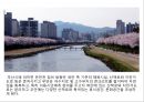 부산의 환경예술 지역 10페이지