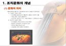 조직문화의 이해 3페이지