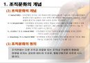 조직문화의 이해 4페이지