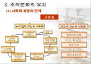 조직문화의 이해 27페이지