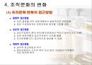 조직문화의 이해 29페이지