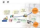 조직문화의 이해 33페이지