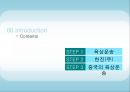 [국제 물류론] 육상 운송 2페이지