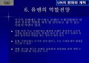 UN의 변화와 개혁 35페이지
