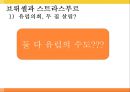 유럽의 수도 브뤼셀 17페이지