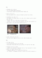 즐거운 인생 막걸리 -국순당 생막걸리 마케팅 전략- 9페이지