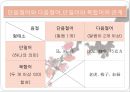 제2장 현대중국어 어휘 분류 19페이지