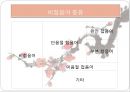 제2장 현대중국어 어휘 분류 22페이지