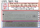 [수학학습 심리학] 수학적 개념의 형성 17페이지