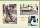 광역상수도의 현황 및 문제점 12페이지