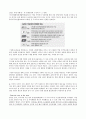 20세기 한국 경제의 발전원인 & 21세기 발전전략 14페이지