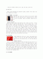 삼국지의 한과문화페스티벌과 포천한과박물관 방문기 -한과에 대한 배경지식과 경험을 통한 한과의 세계화 방향에 대한 연구- 4페이지