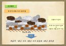 물관리에 대한 조산들의 슬기와 역사 19페이지