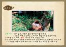 물관리에 대한 조산들의 슬기와 역사 30페이지