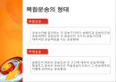 복합운송 [정의, 형태, 요건, 관련 법규, 주요경로, 운송인, 주선인] 4페이지