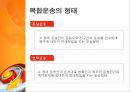 복합운송 [정의, 형태, 요건, 관련 법규, 주요경로, 운송인, 주선인] 5페이지