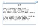 항공사 전략적 제휴 29페이지