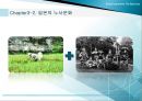 일본의 고용관계 16페이지