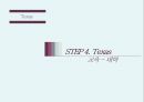 미국 텍사스주와 펜실바니아에 대한 이해 17페이지