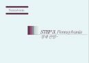 미국 텍사스주와 펜실바니아에 대한 이해 29페이지