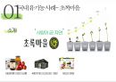 유기농 식품의 국.내외 사례 및 발전방향 15페이지