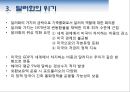 달러의 기축통화. 기축통화 도전(위안화.유로화) 10페이지
